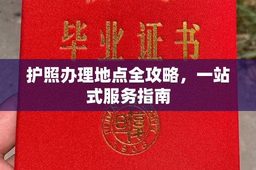 台安护照办理地点全攻略，一站式服务指南