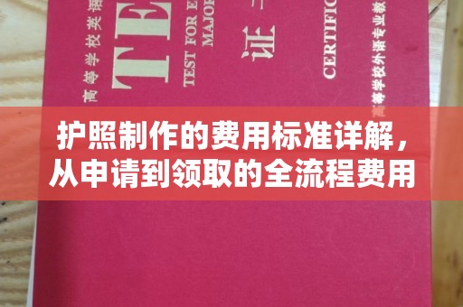台安护照制作的费用标准详解，从申请到领取的全流程费用指南