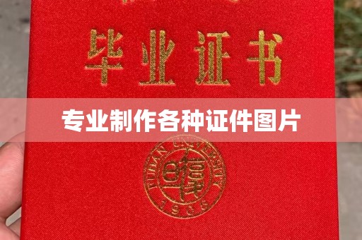 台安专业制作各种证件图片