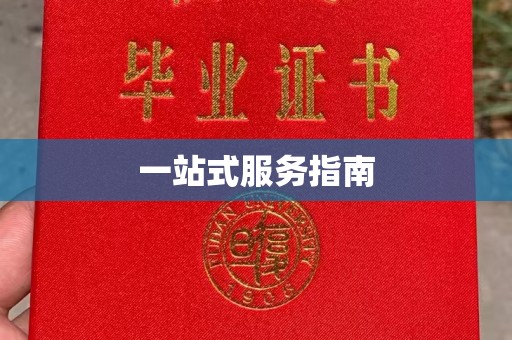 台安一站式服务指南