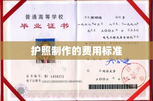 台安护照制作的费用标准