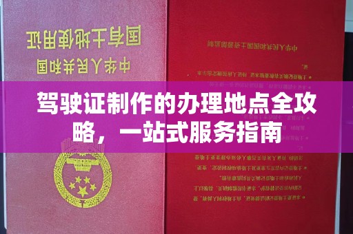 台安驾驶证制作的办理地点全攻略，一站式服务指南