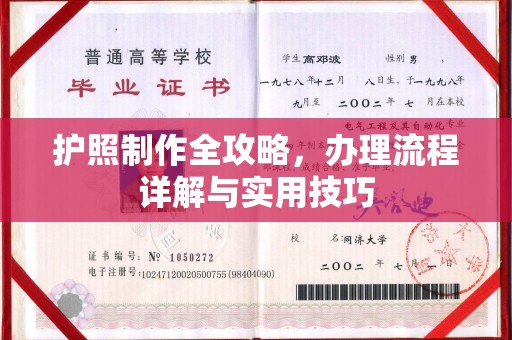 台安护照制作全攻略，办理流程详解与实用技巧