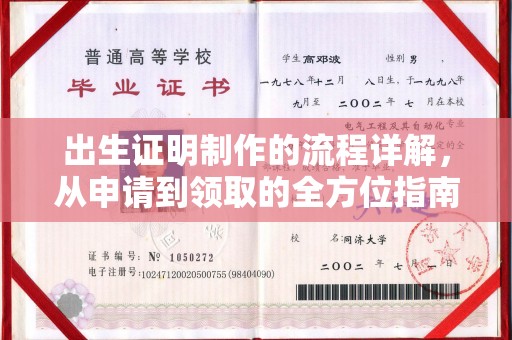 台安出生证明制作的流程详解，从申请到领取的全方位指南